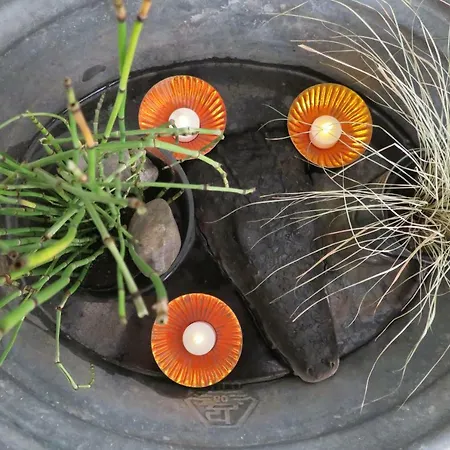 Welcome House شقة *